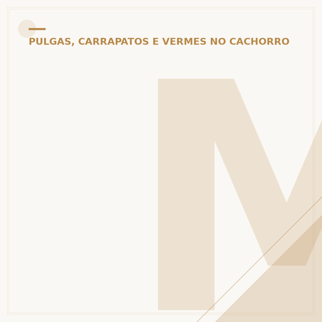 Melhor veneno para acabar com carrapatos no cachorro