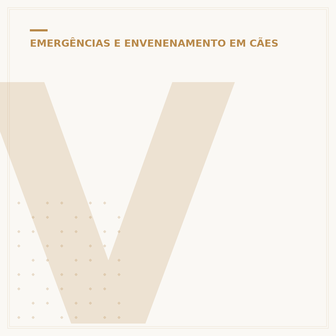 Veneno que mata cachorro