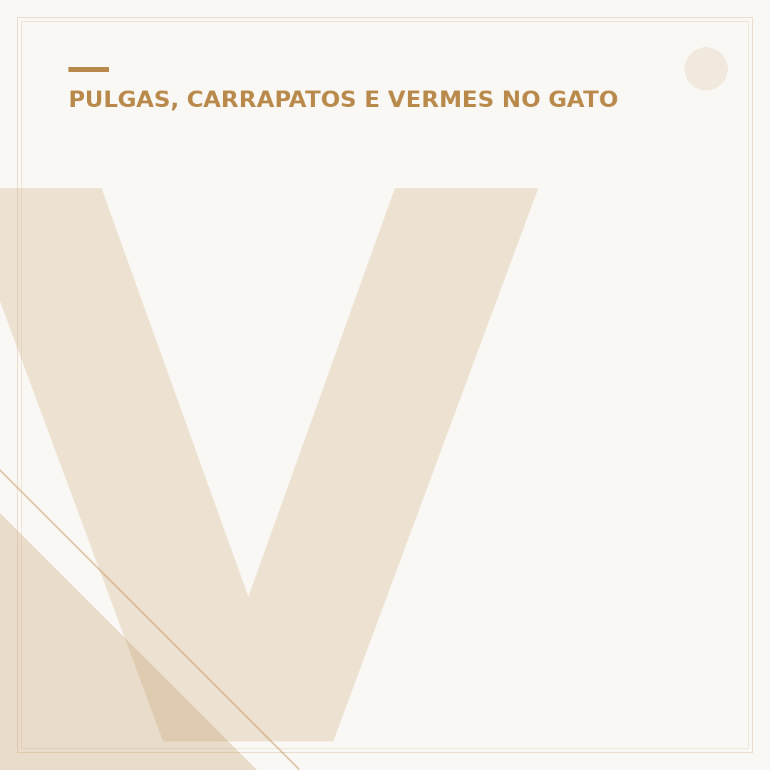 Veneno de pulga para gato