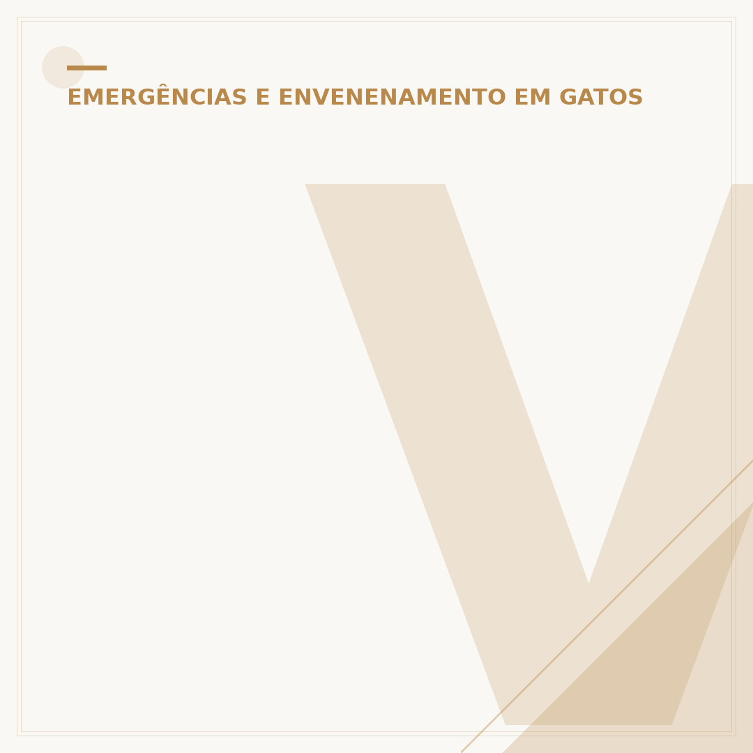 Veneno de rato pode matar gato: riscos e como agir