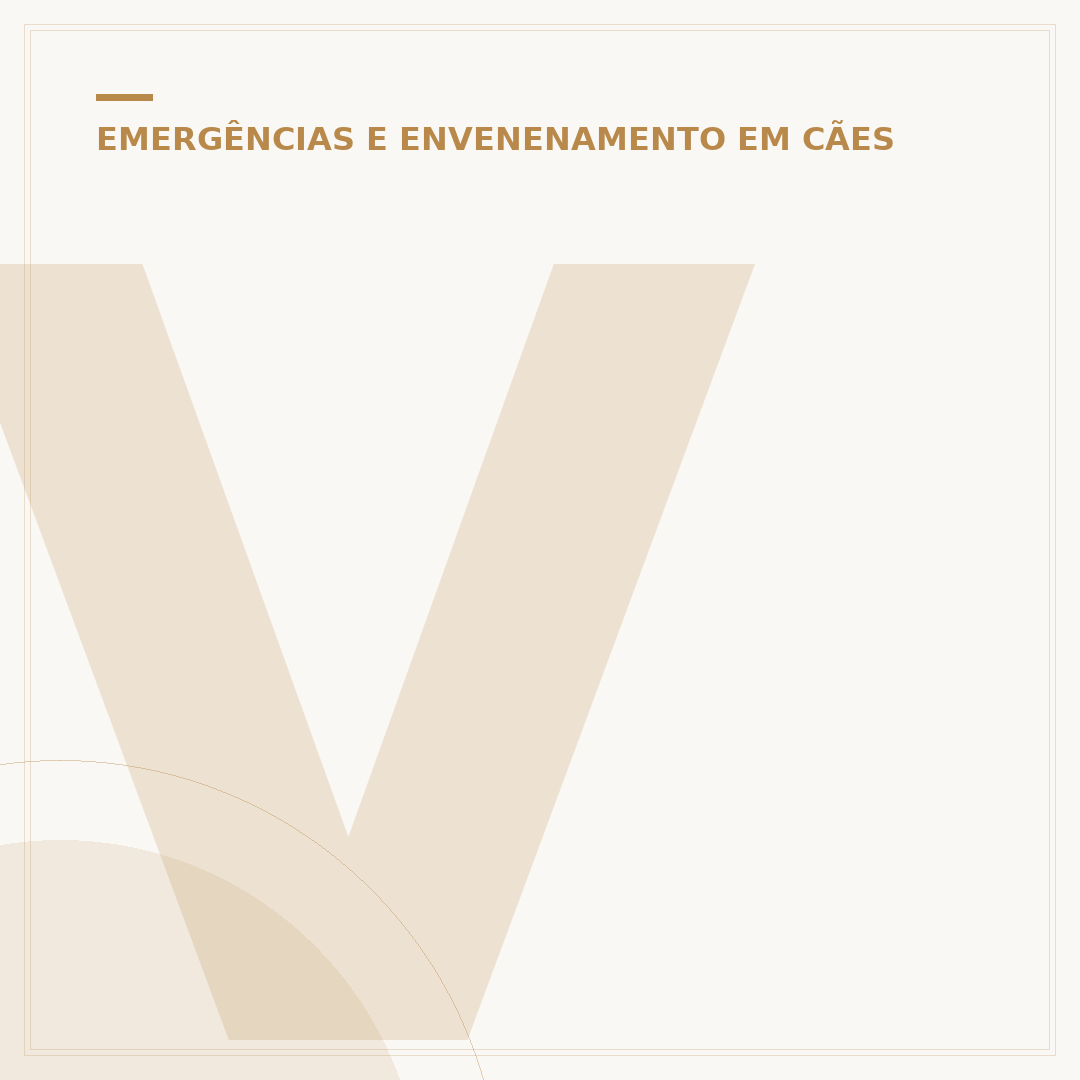 Veneno Troféu 40 faz mal para cachorro? Entenda os riscos