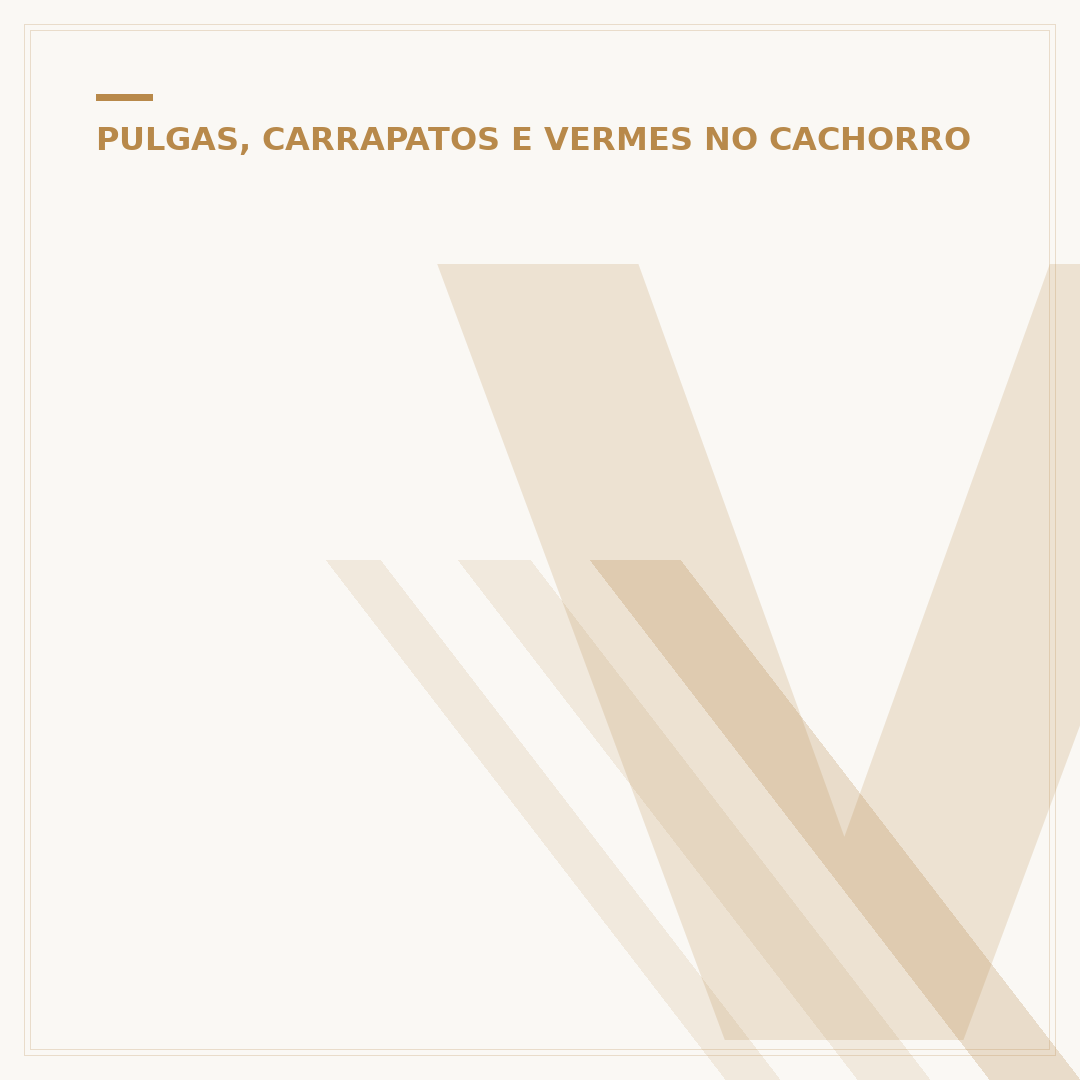 Verme branco em cachorro: causas, sintomas e tratamento