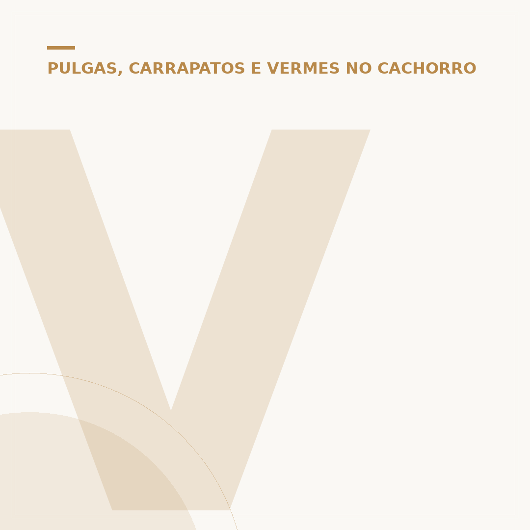 Verme em cachorro: como acabar e prevenir infestações