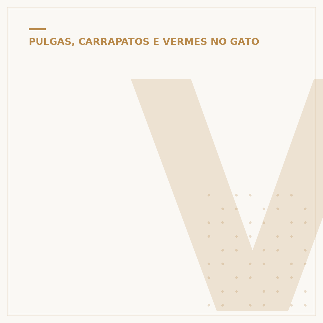 Verme no coco do gato: causas, sintomas e tratamentos