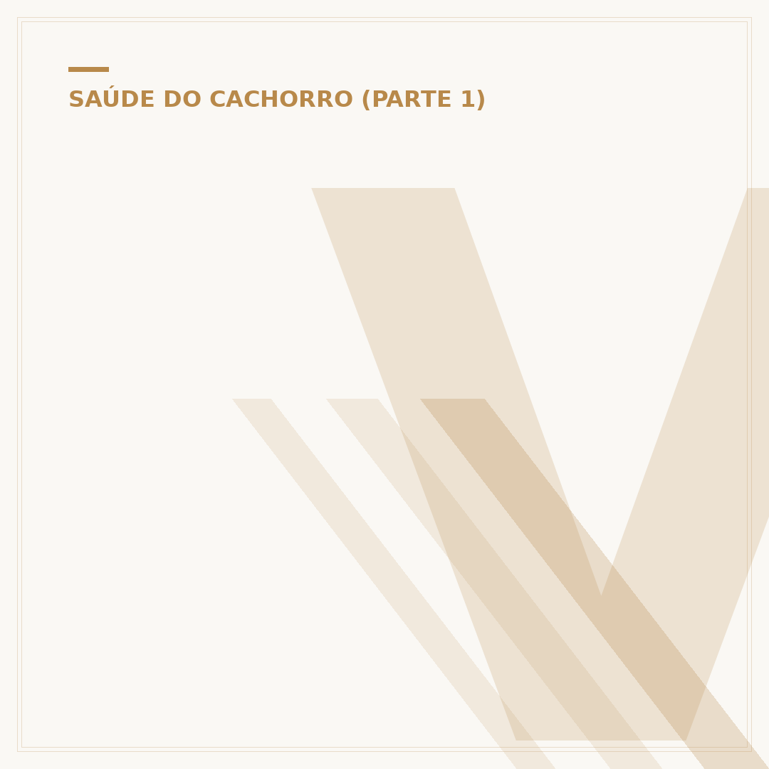 Verminose em cachorro: sinais, prevenção e tratamento