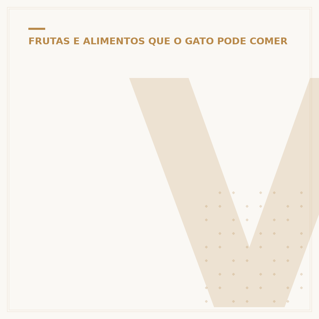 Vinho do gato: o que é e se o seu pet pode consumir