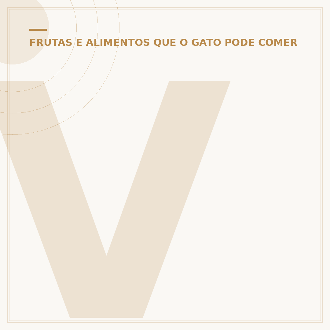 Vinho Gato Negro: origem, produção e características