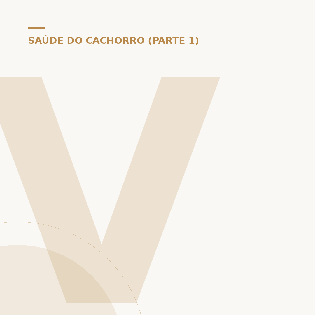 Virose em cachorro: entenda os sintomas e como agir
