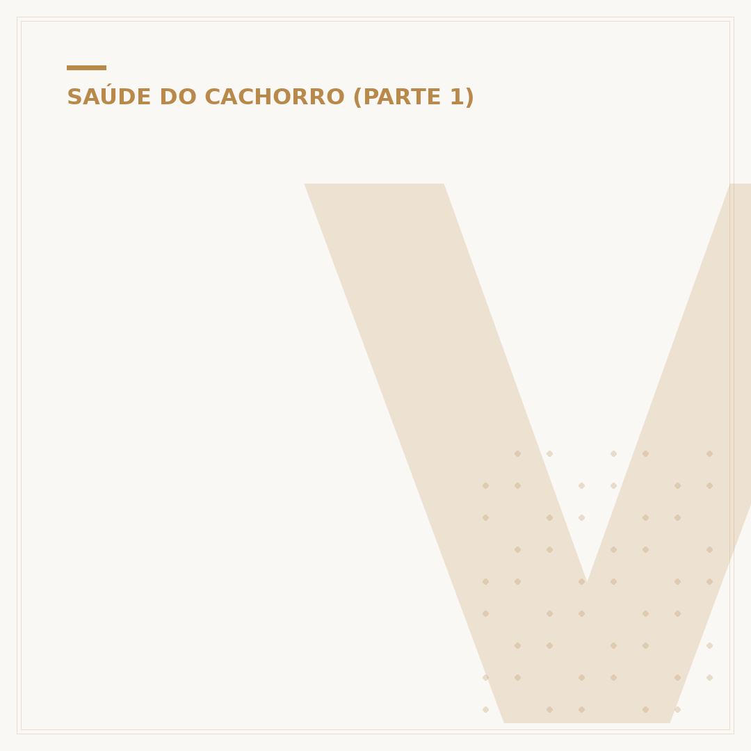 Virose em cachorro: Tratamento caseiro