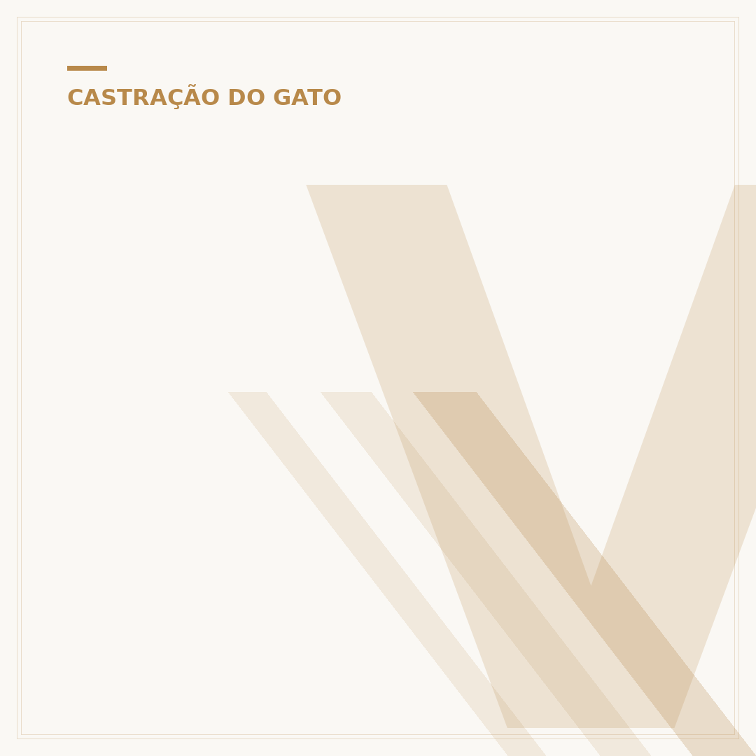 Vittamax gato castrado: nutrição para uma vida longa