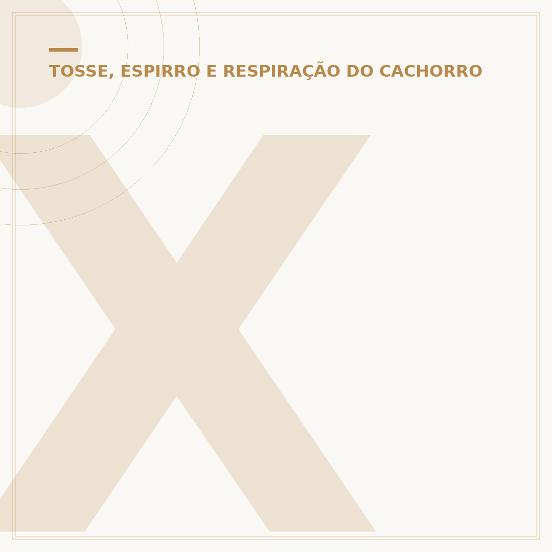 Xarope para cachorro resfriado: o que saber antes de usar