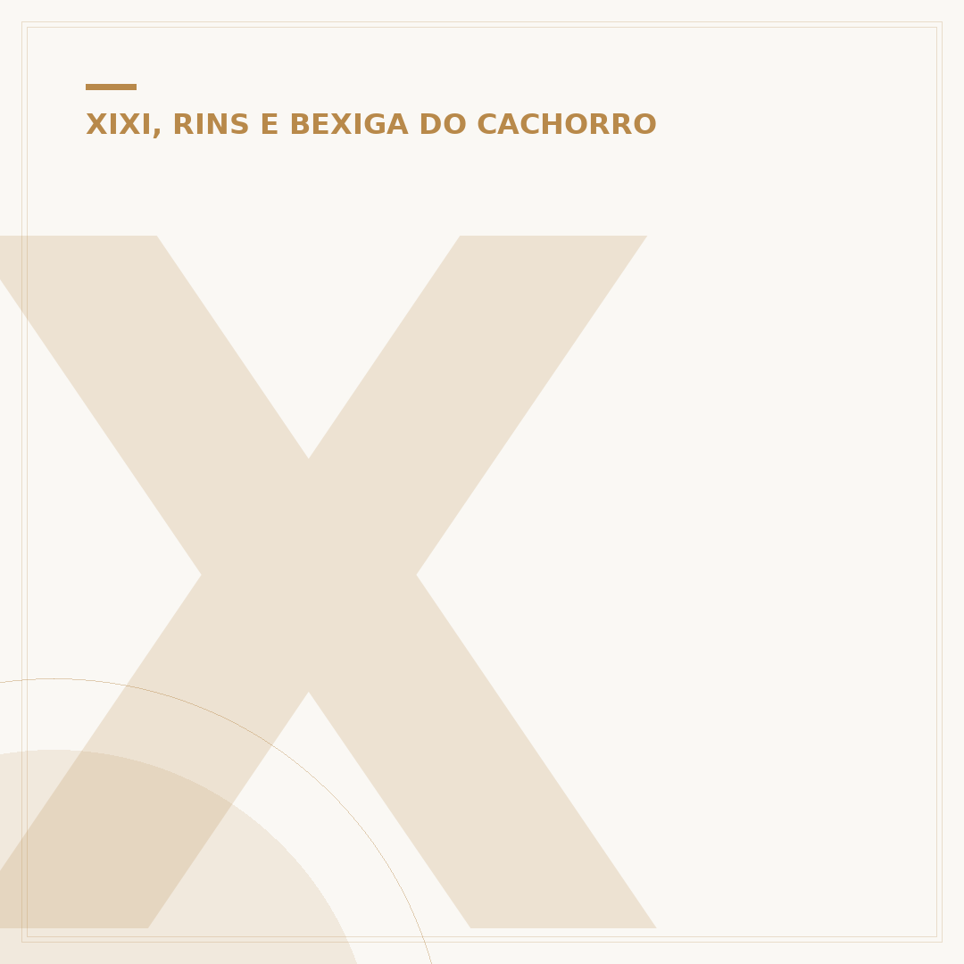 Xixi de cachorro com cheiro forte: causas e soluções
