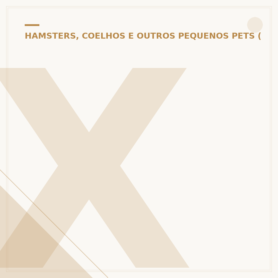 Xlive hamster: cuide bem do seu pequeno roedor