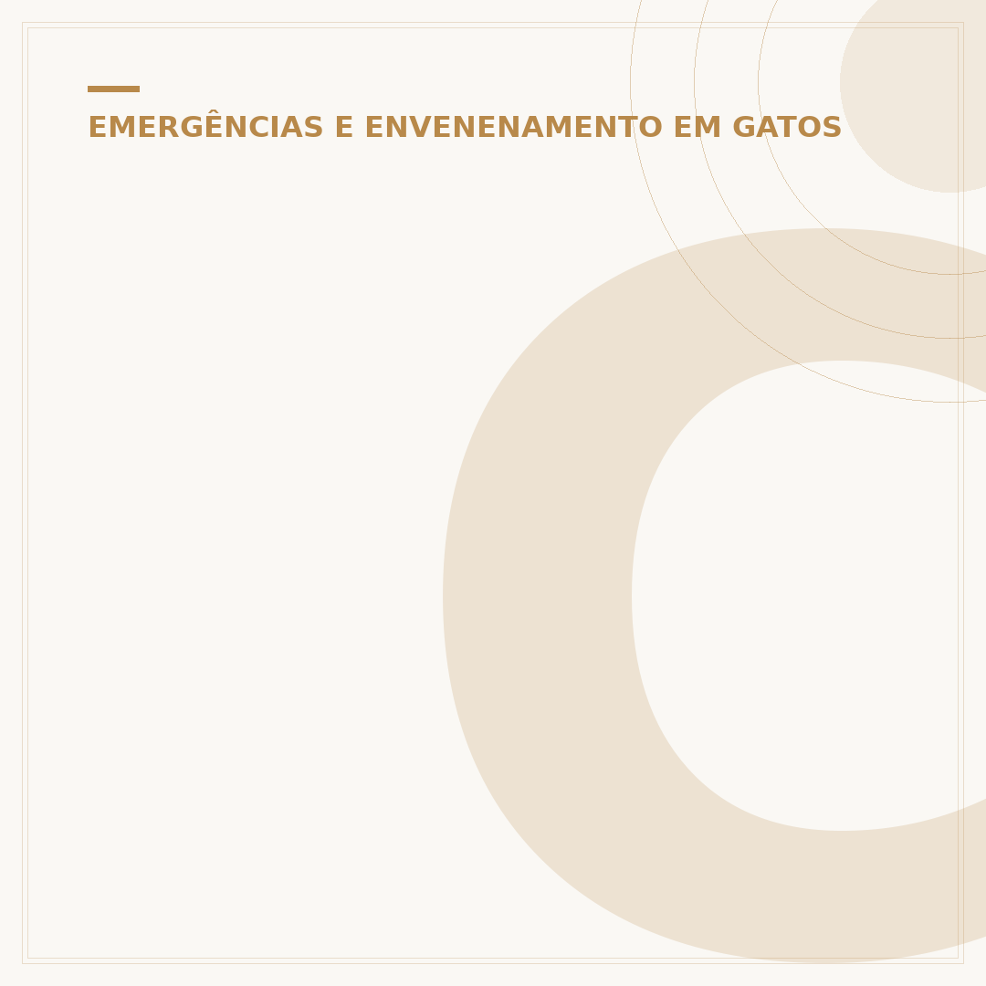 Como o zoio de gato morreu: causas, sinais e prevenção