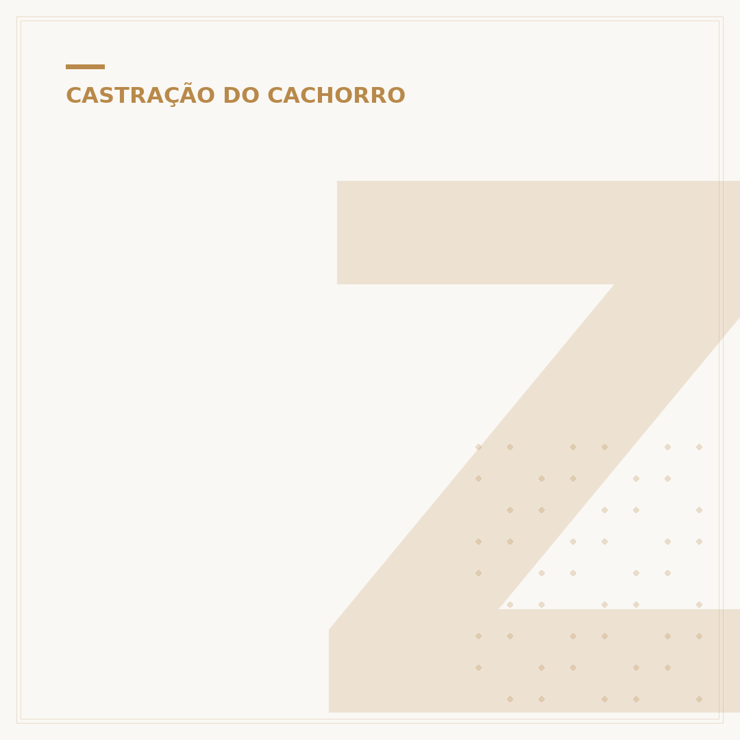 Zoonoses e castração gratuita: um elo para a saúde pública