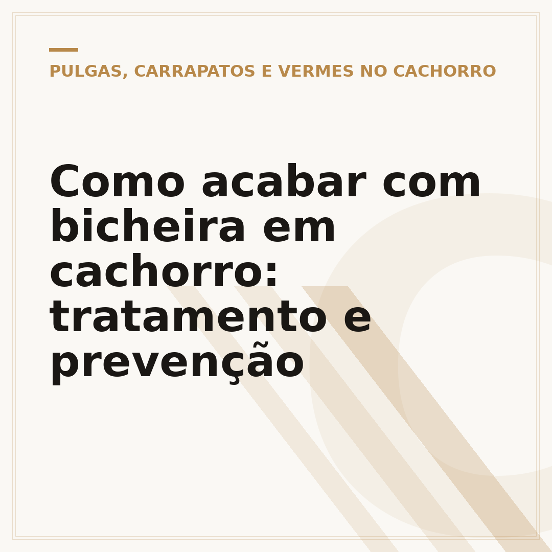 Como acabar com bicheira em cachorro: tratamento e prevenção
