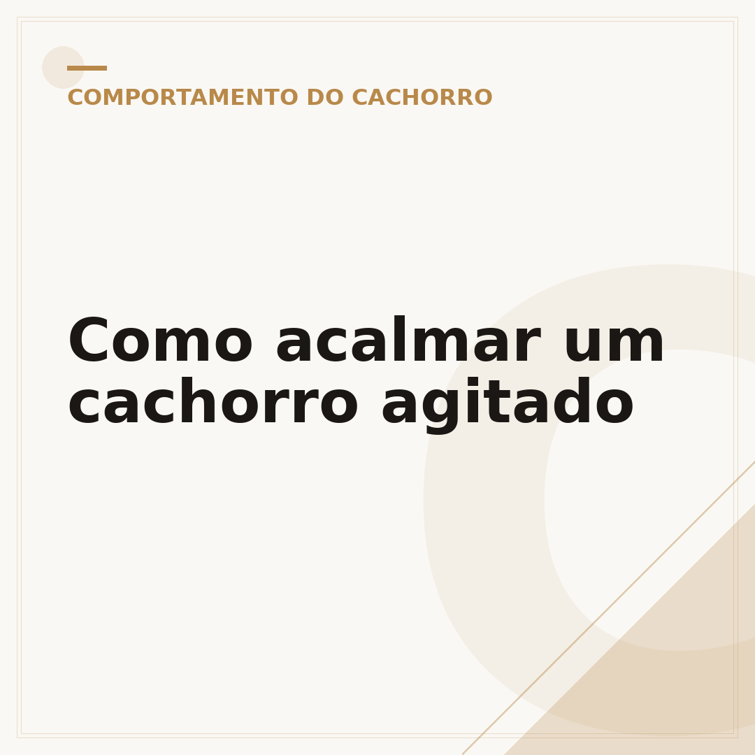 Como acalmar um cachorro agitado