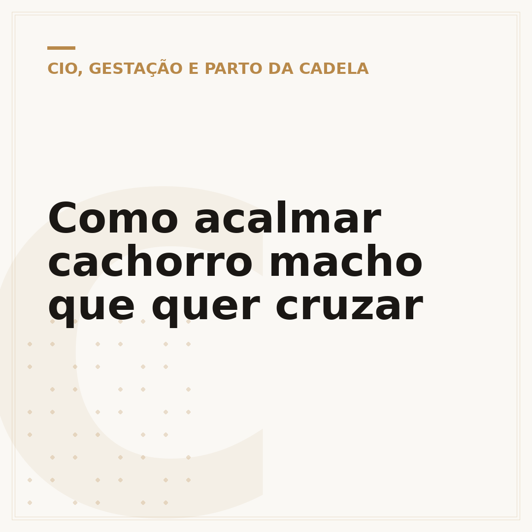 Como acalmar cachorro macho que quer cruzar