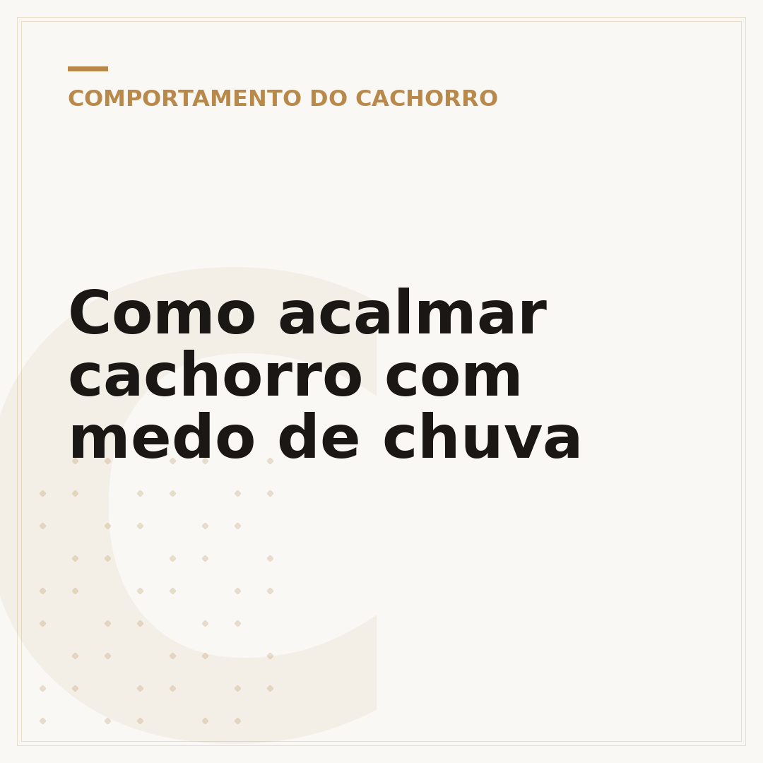 Como acalmar cachorro com medo de chuva