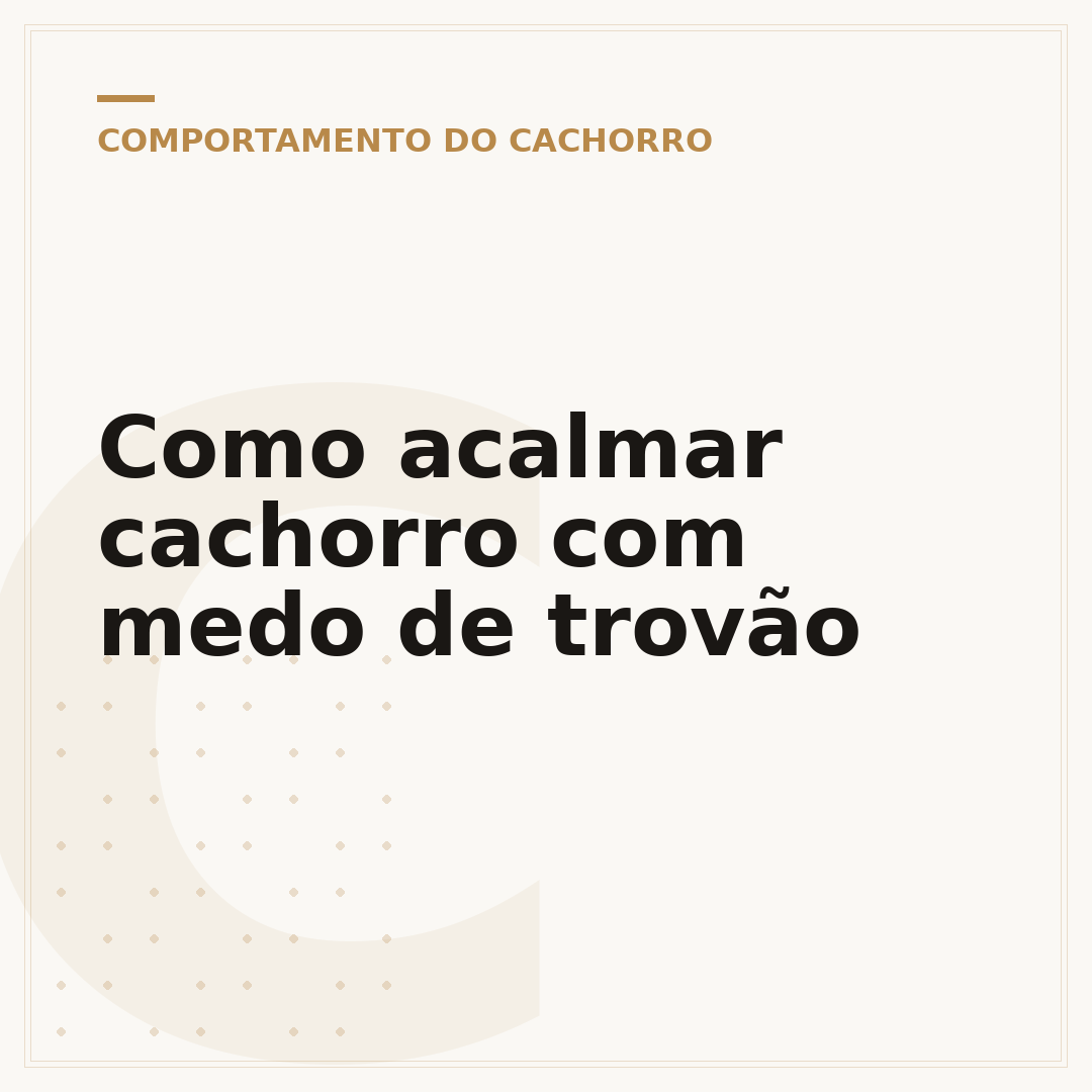 Como acalmar cachorro com medo de trovão