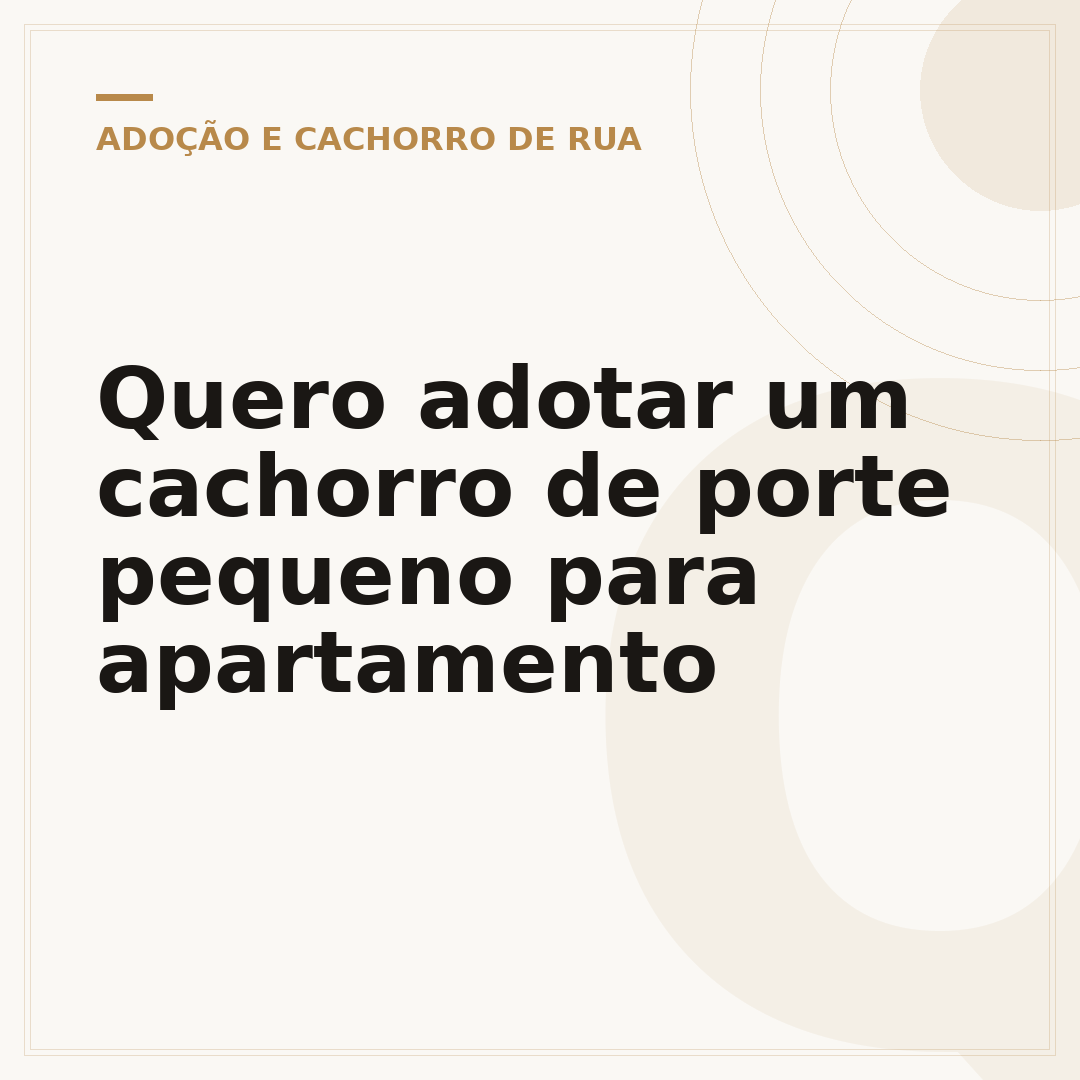 Quero adotar um cachorro de porte pequeno para apartamento