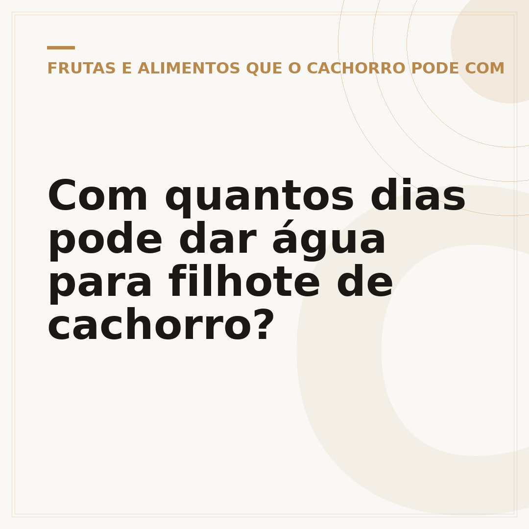 Com quantos dias pode dar água para filhote de cachorro?