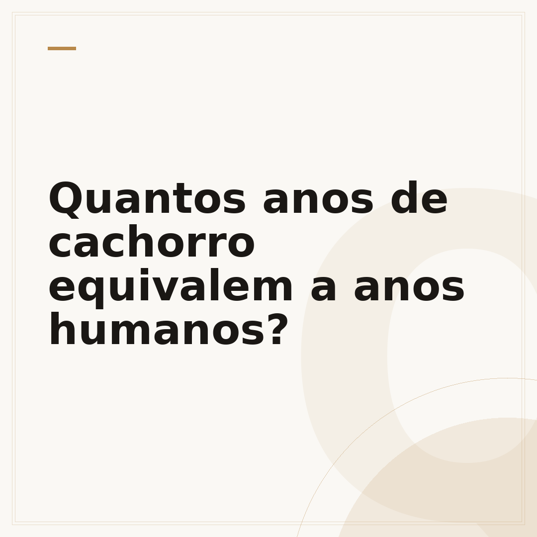 Quantos anos de cachorro equivalem a anos humanos?