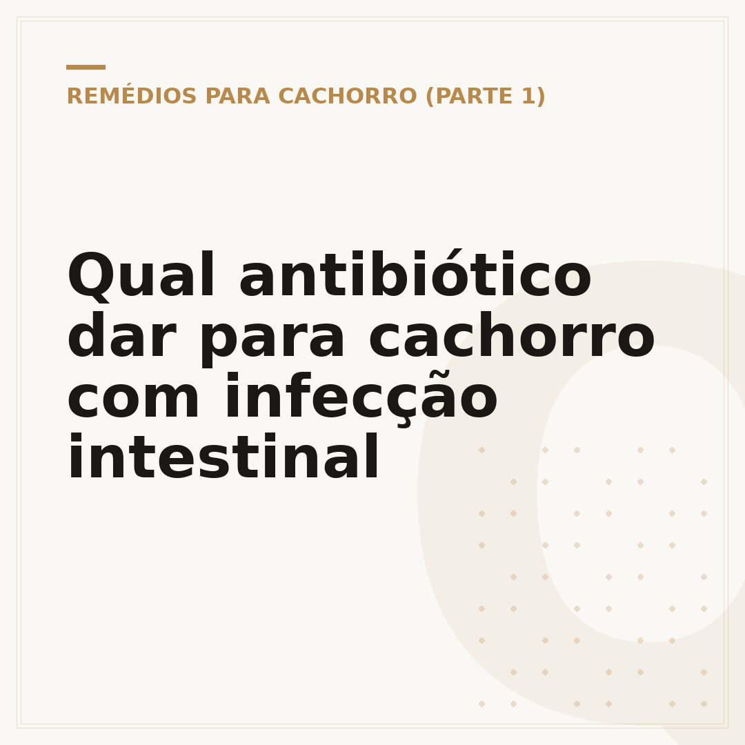 Qual antibiótico dar para cachorro com infecção intestinal