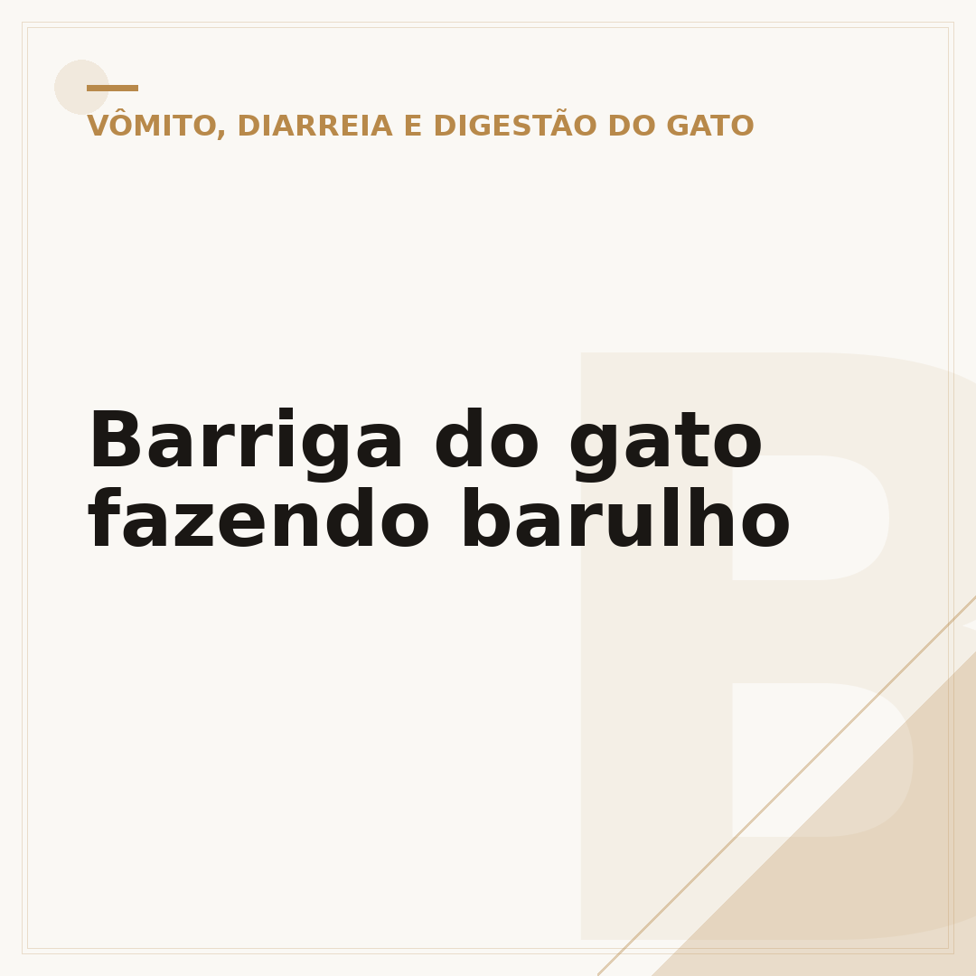Barriga do gato fazendo barulho