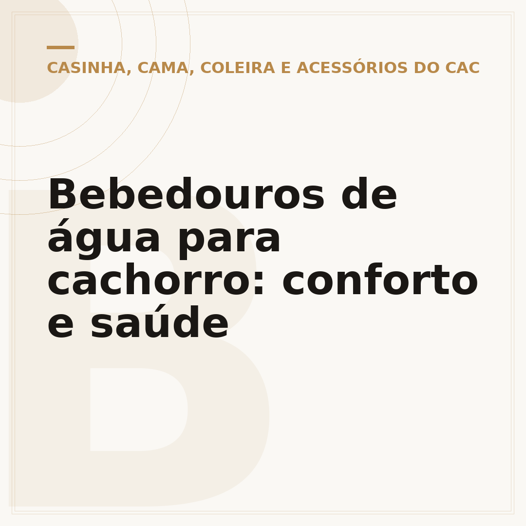 Bebedouros de água para cachorro: conforto e saúde