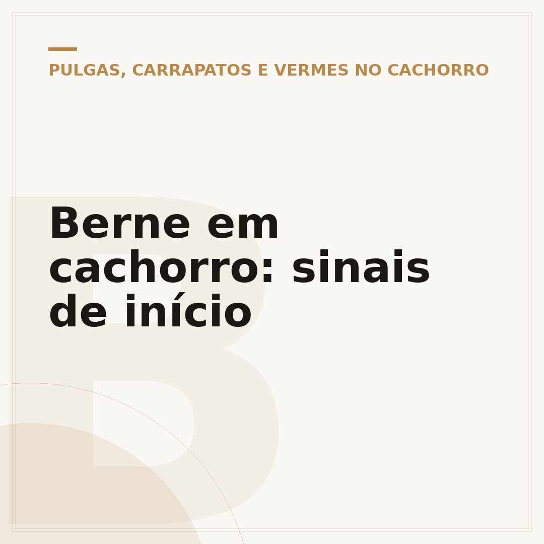 Berne em cachorro: sinais de início