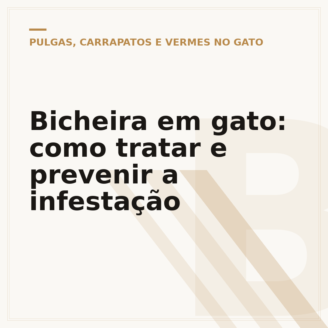 Bicheira em gato: como tratar e prevenir a infestação