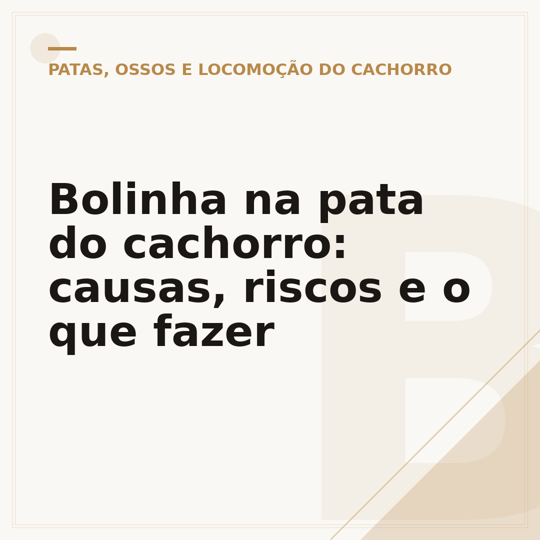 Bolinha na pata do cachorro: causas, riscos e o que fazer