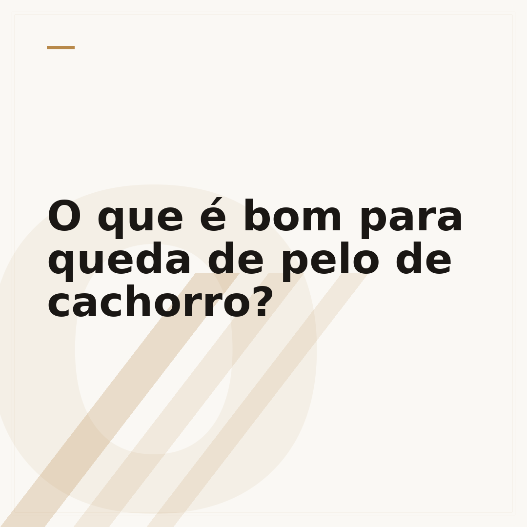 O que é bom para queda de pelo de cachorro?