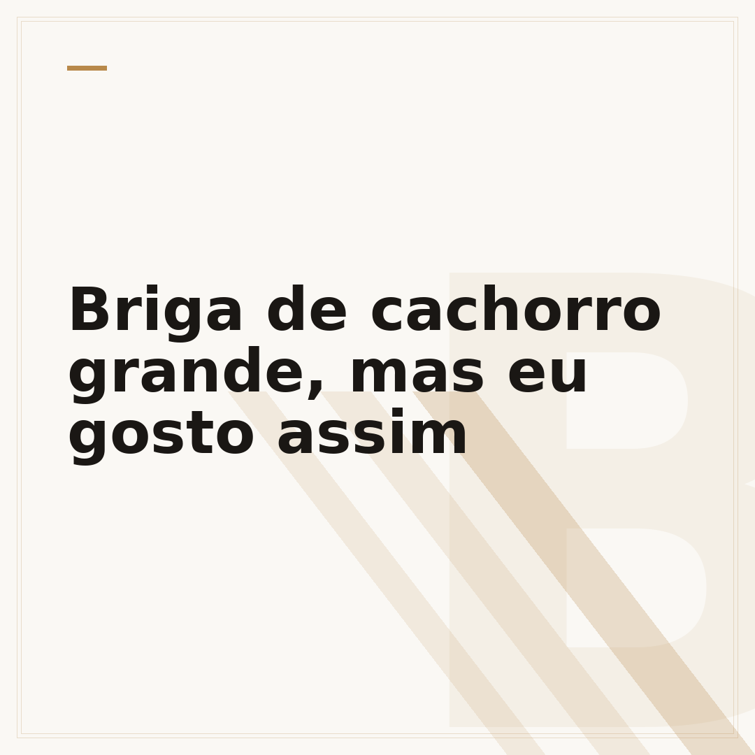 Briga de cachorro grande, mas eu gosto assim