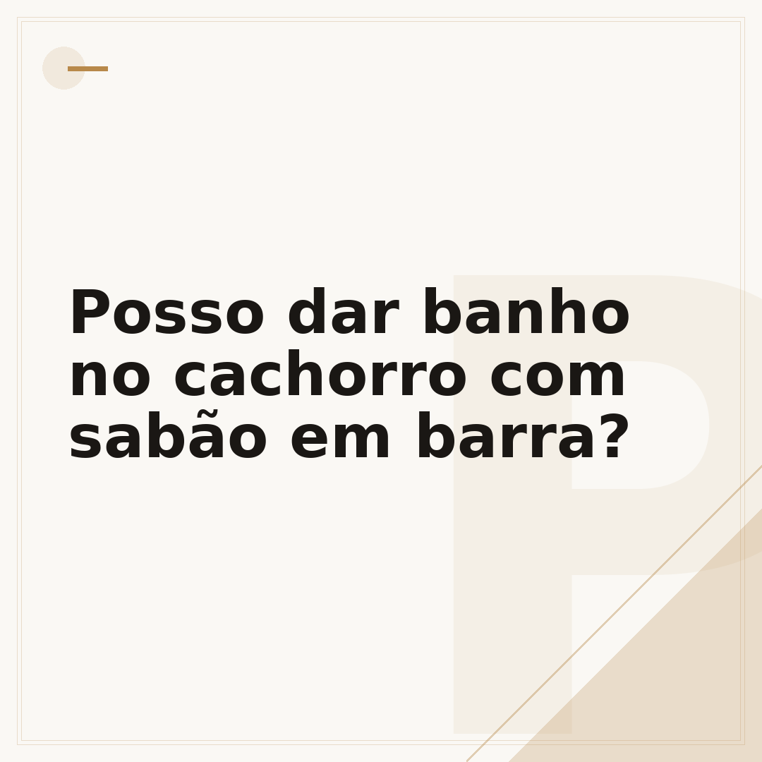 Posso dar banho no cachorro com sabão em barra?