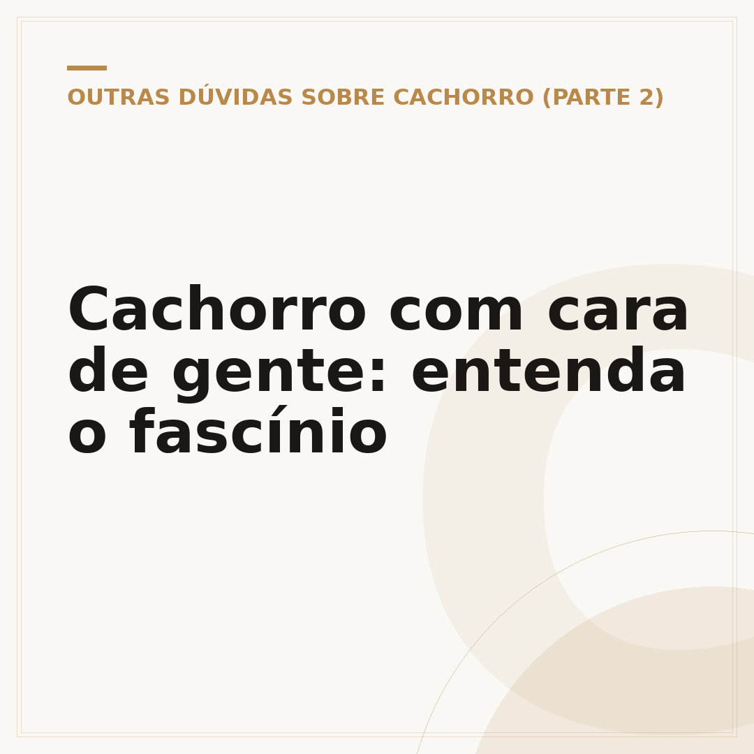 Cachorro com cara de gente: entenda o fascínio