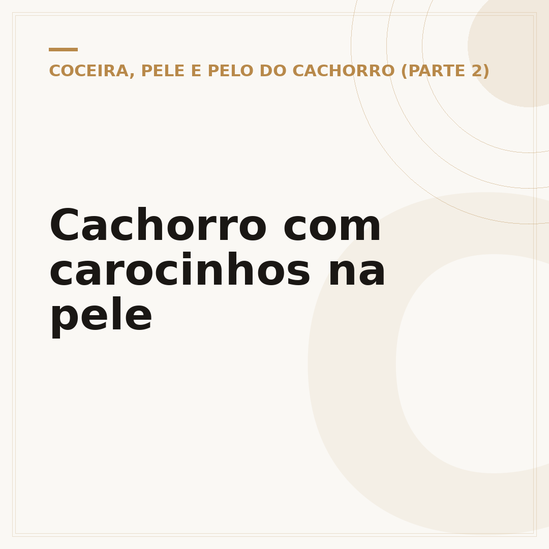 Cachorro com carocinhos na pele
