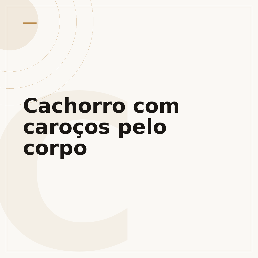 Cachorro com caroços pelo corpo