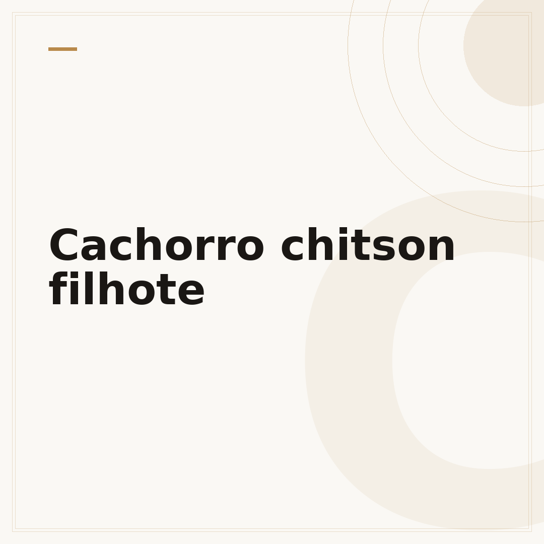 Cachorro chitson filhote
