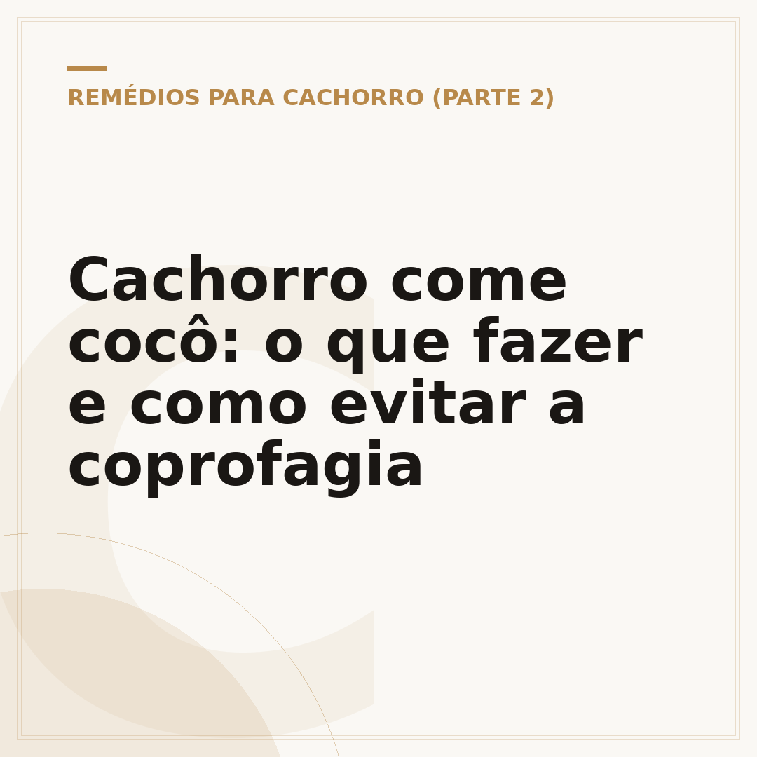 Cachorro come cocô: o que fazer e como evitar a coprofagia