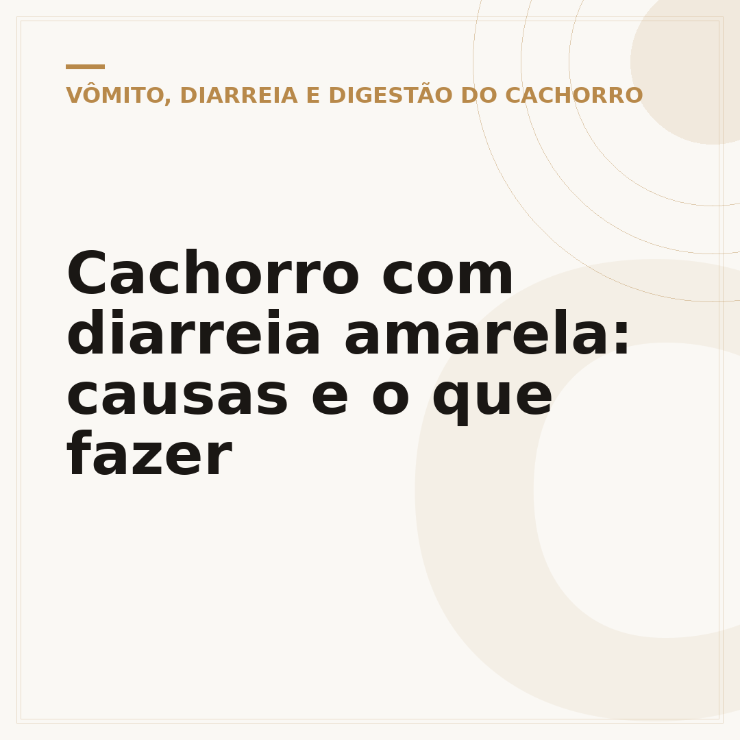 Cachorro com diarreia amarela: causas e o que fazer