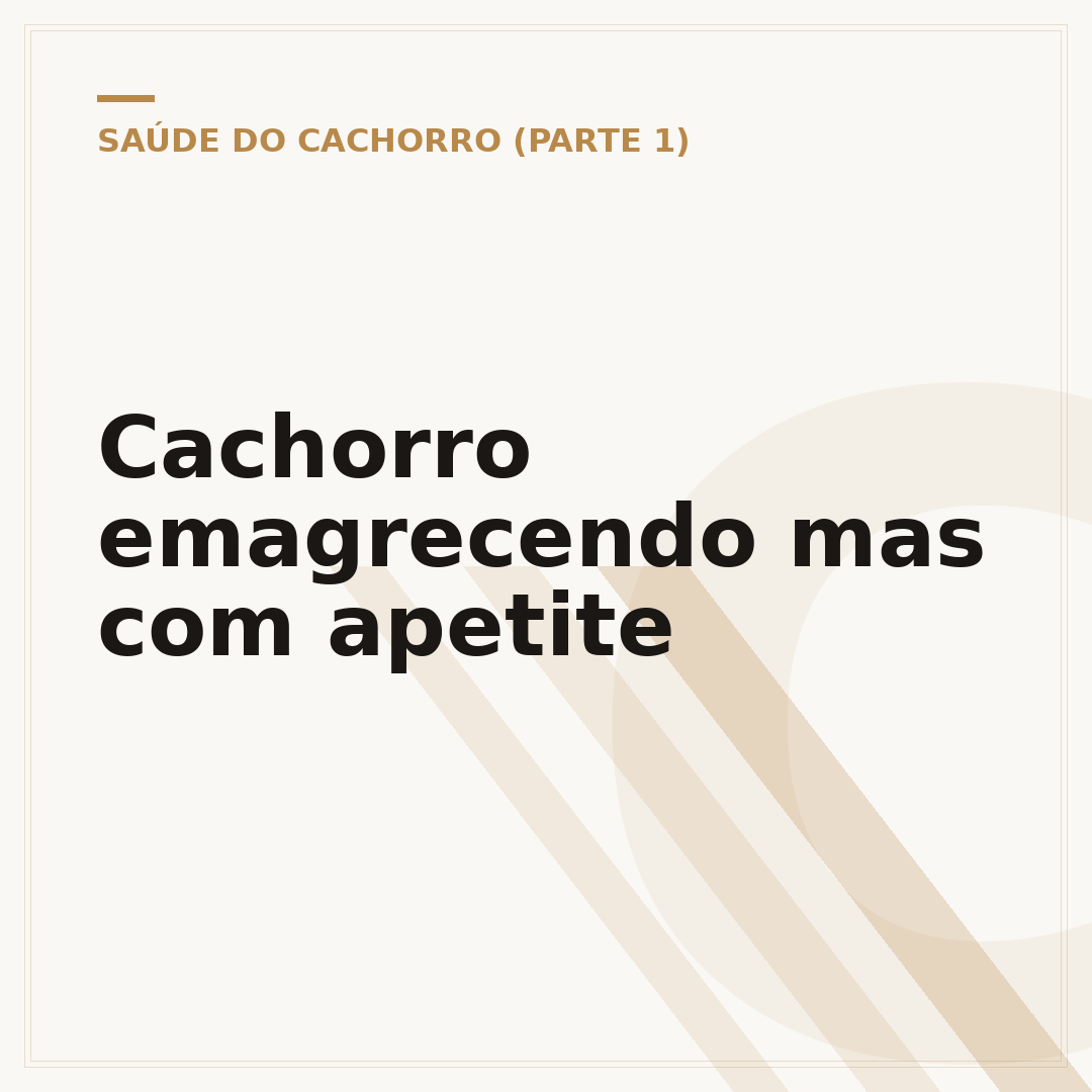 Cachorro emagrecendo mas com apetite