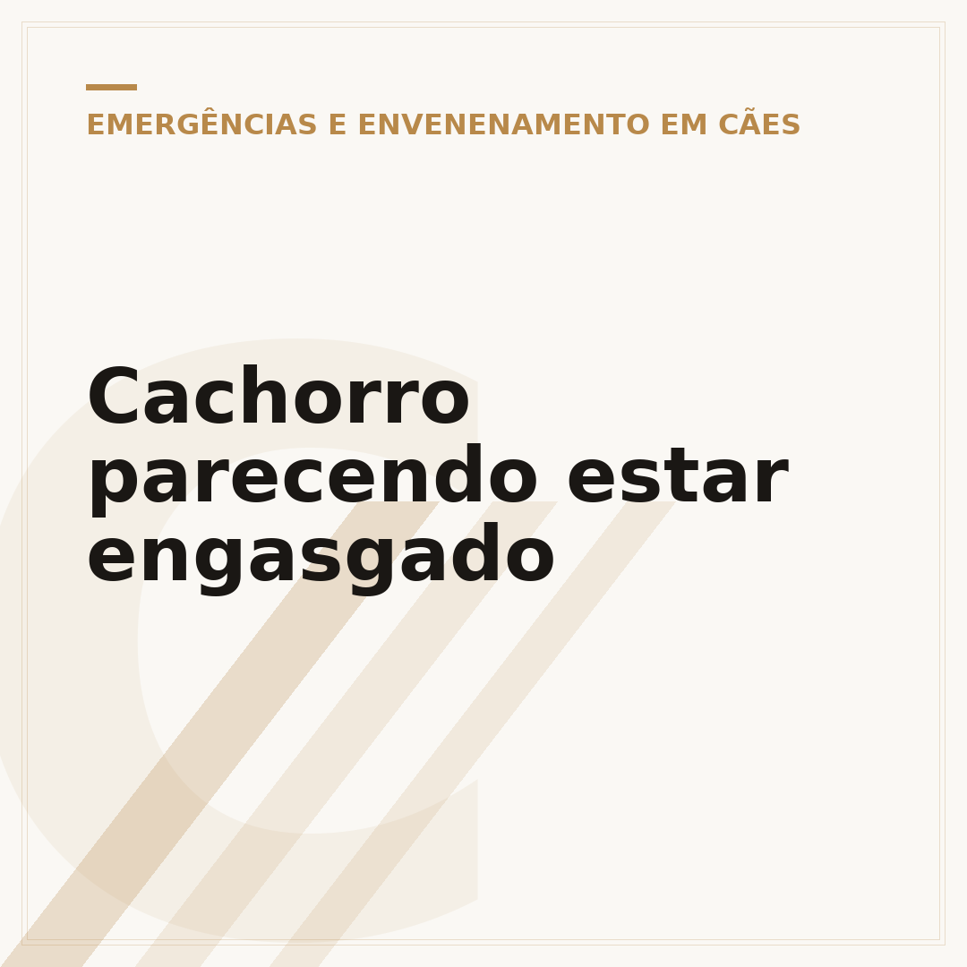 Cachorro parecendo estar engasgado