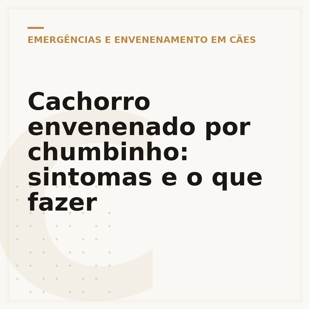 Cachorro envenenado por chumbinho: sintomas e o que fazer