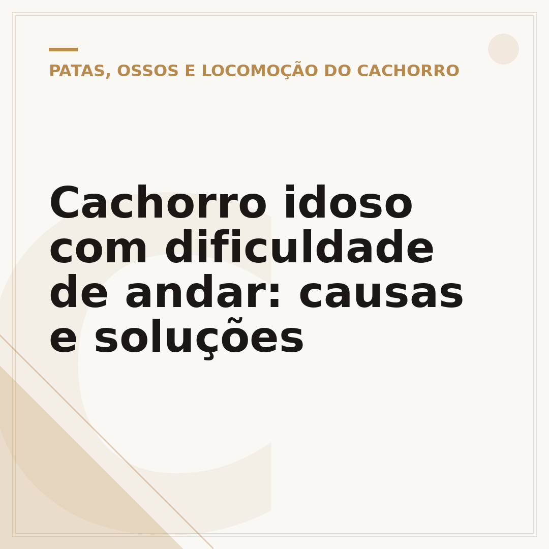 Cachorro idoso com dificuldade de andar: causas e soluções