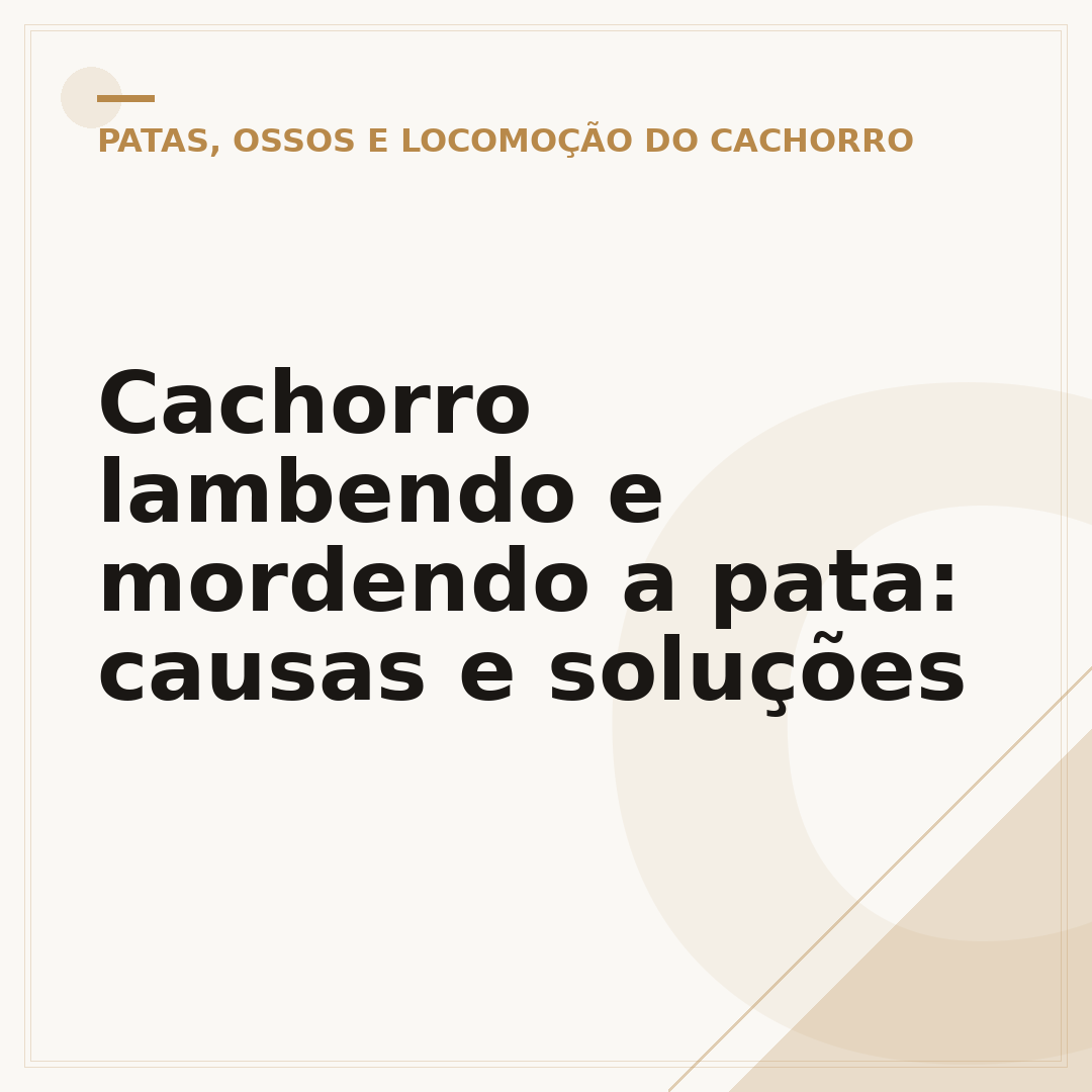 Cachorro lambendo e mordendo a pata: causas e soluções