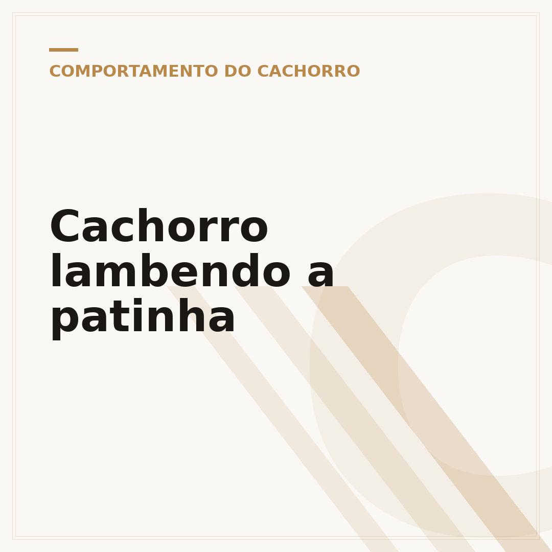 Cachorro lambendo a patinha