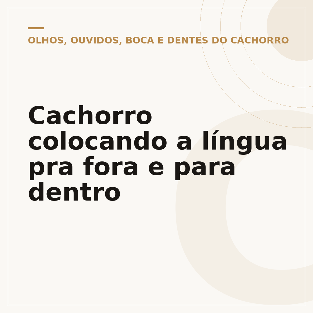 Cachorro colocando a língua pra fora e para dentro