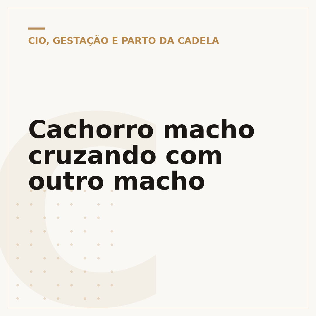 Cachorro macho cruzando com outro macho